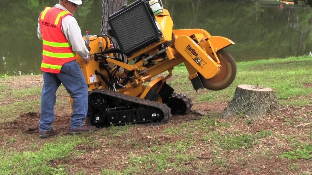 Stump Removal vs. Stump Grinding: Which One Is Better for Your Yard?