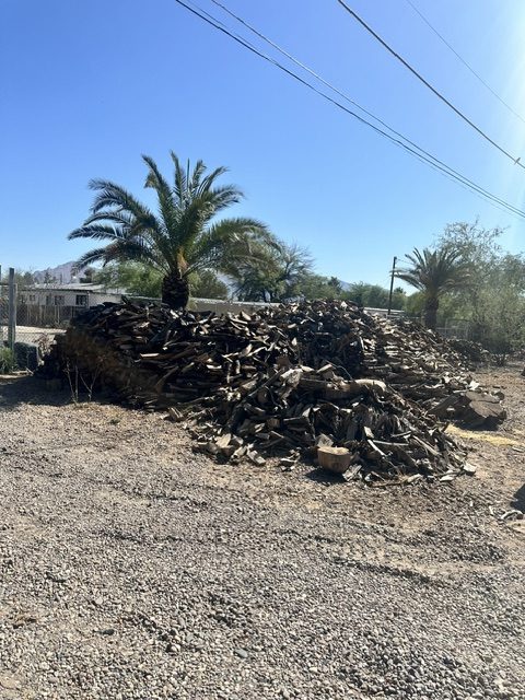 firewood for sale - 1 cord